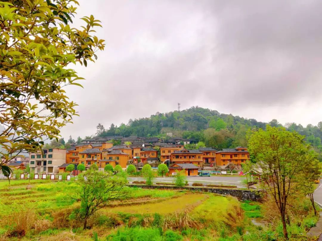 董事長唐樹松 尋紅色記憶，憶鄧恩銘波瀾一生